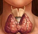 тиреотоксикоз лечениетиреотоксикоз симптомы тиреотоксикоз щитовидной железы