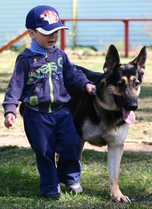 Ребенок дома: первая встреча с собакой